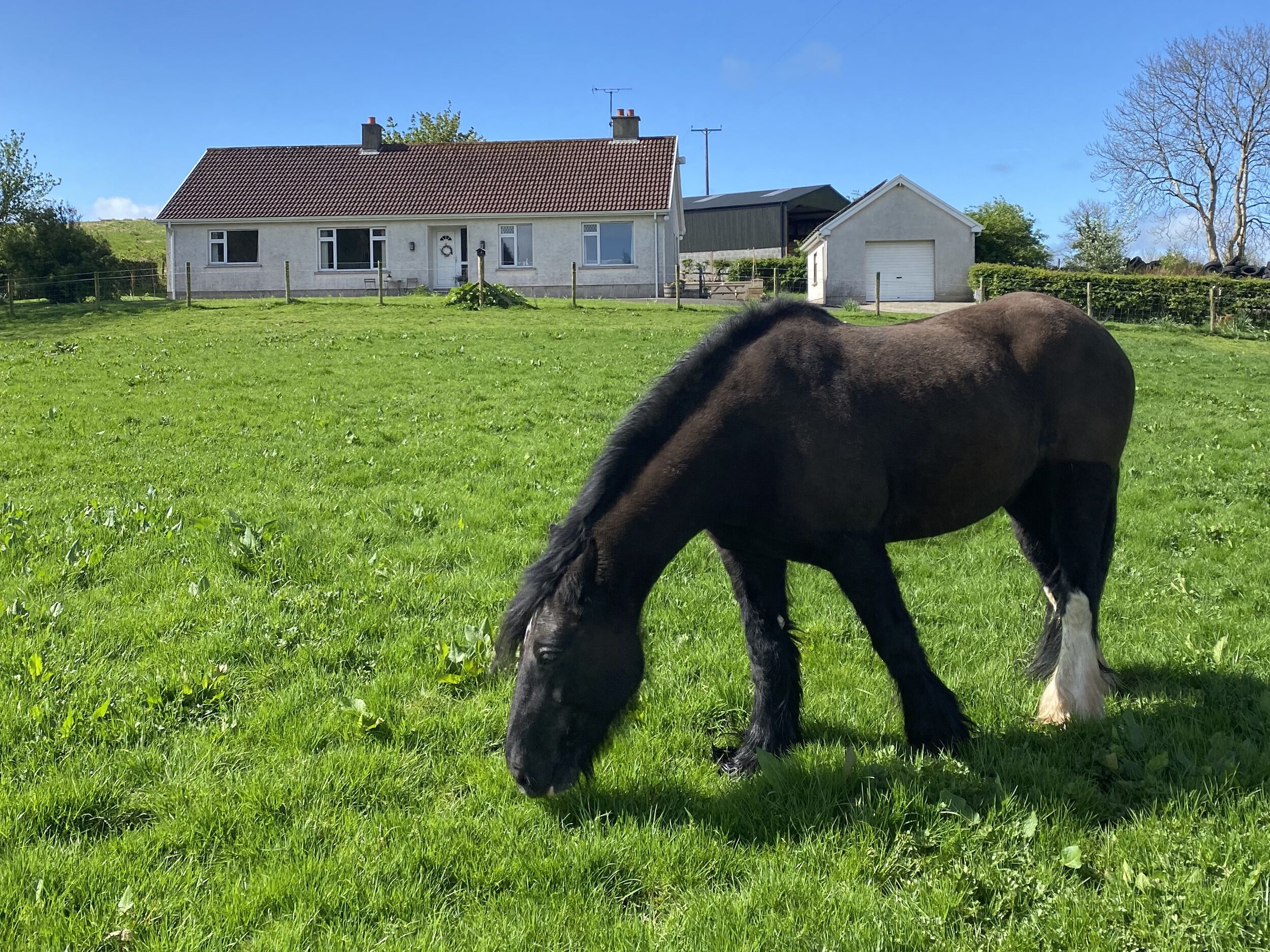 村舍 | 住宿场地