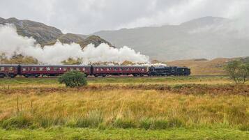 A steam train with multiple carriages moving through a rural landscape with mountains in the background.