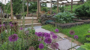 Un jardín con un pérgola de madera, escalones de piedra y diversas plantas, incluyendo flores moradas.