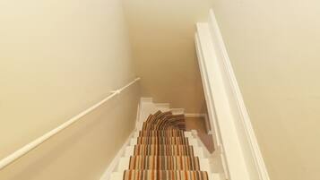 Eine Treppe mit einem Streifen Teppich und weißen Wänden.