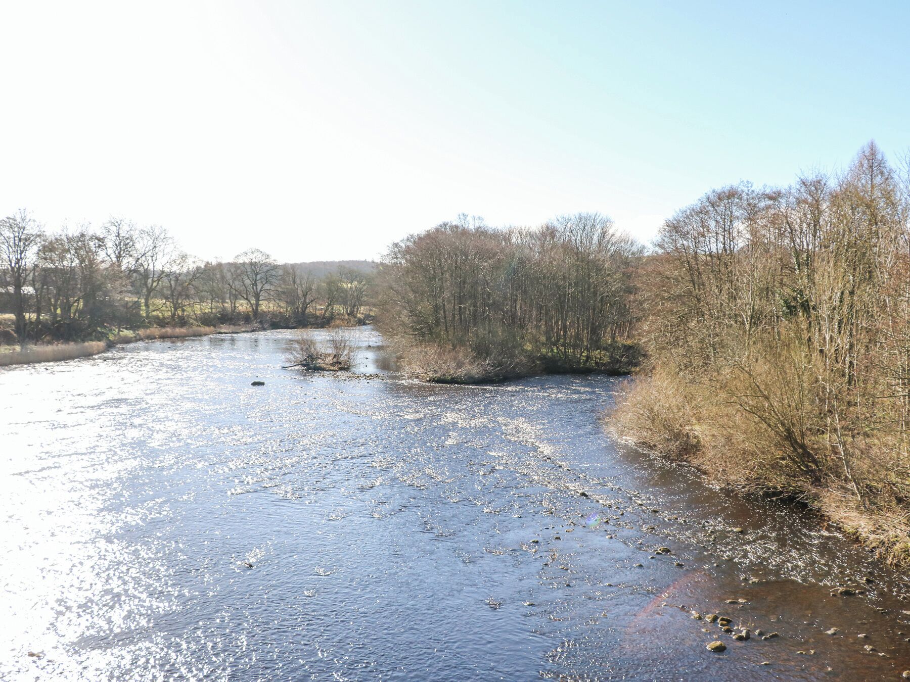 A river with clear water, surrounded by trees and a clear sky.