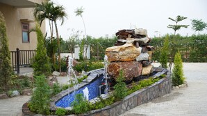 Un jardín ajardinado con un elemento acuático, que incluye una cascada y un pequeño estanque, rodeado de diversas plantas y rocas.