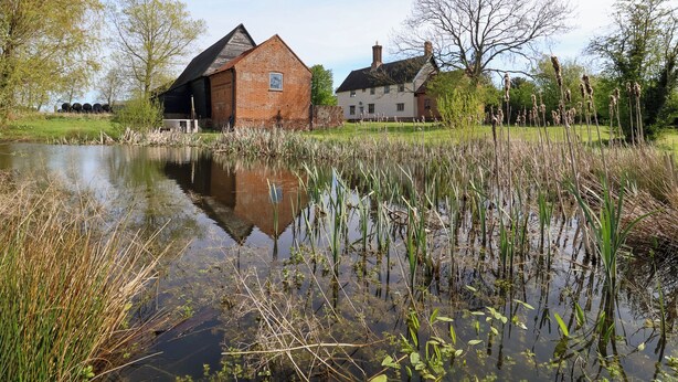 Een landelijk gebouw met een grote, schuurachtige constructie en een kleiner huis naast een vijver met hoge rietstengels.