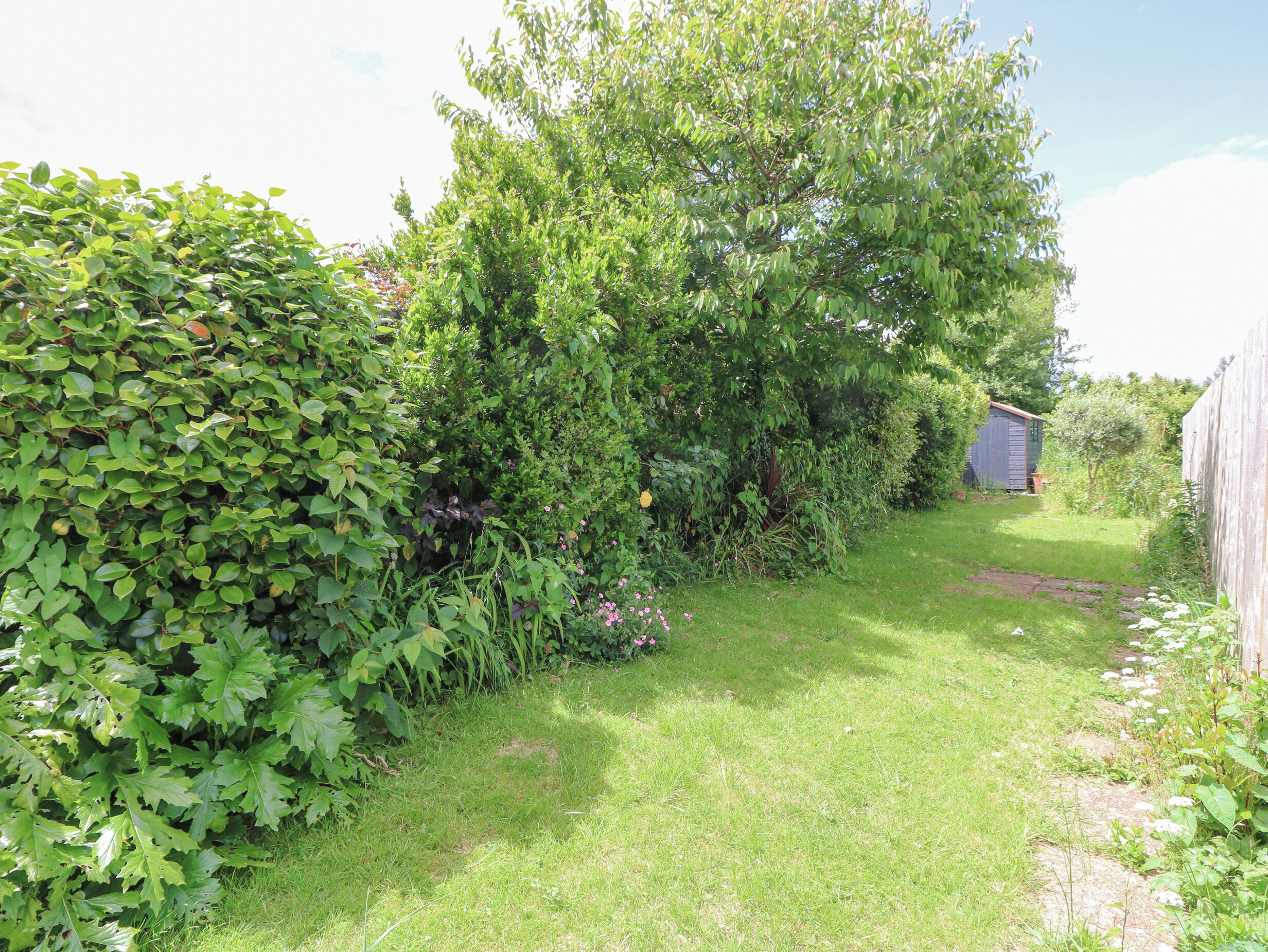 A garden pathway leading to a wooden shed.