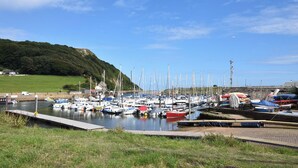 Un port de plaisance où sont amarrés de nombreux bateaux, une zone herbeuse au premier plan et une colline en arrière-plan.