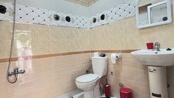 Shower, towels, toilet paper