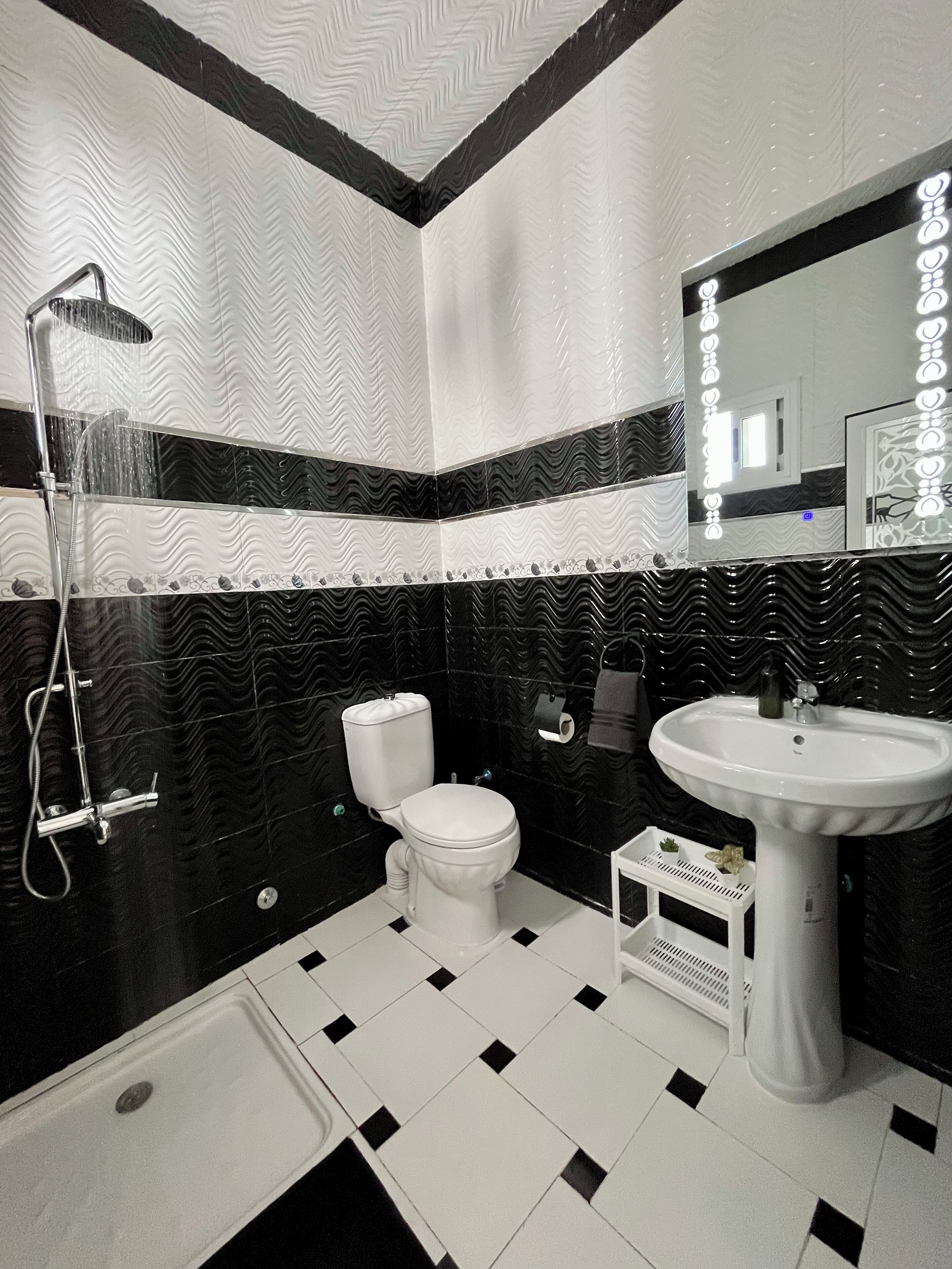 Regadera, toallas, papel de baño 