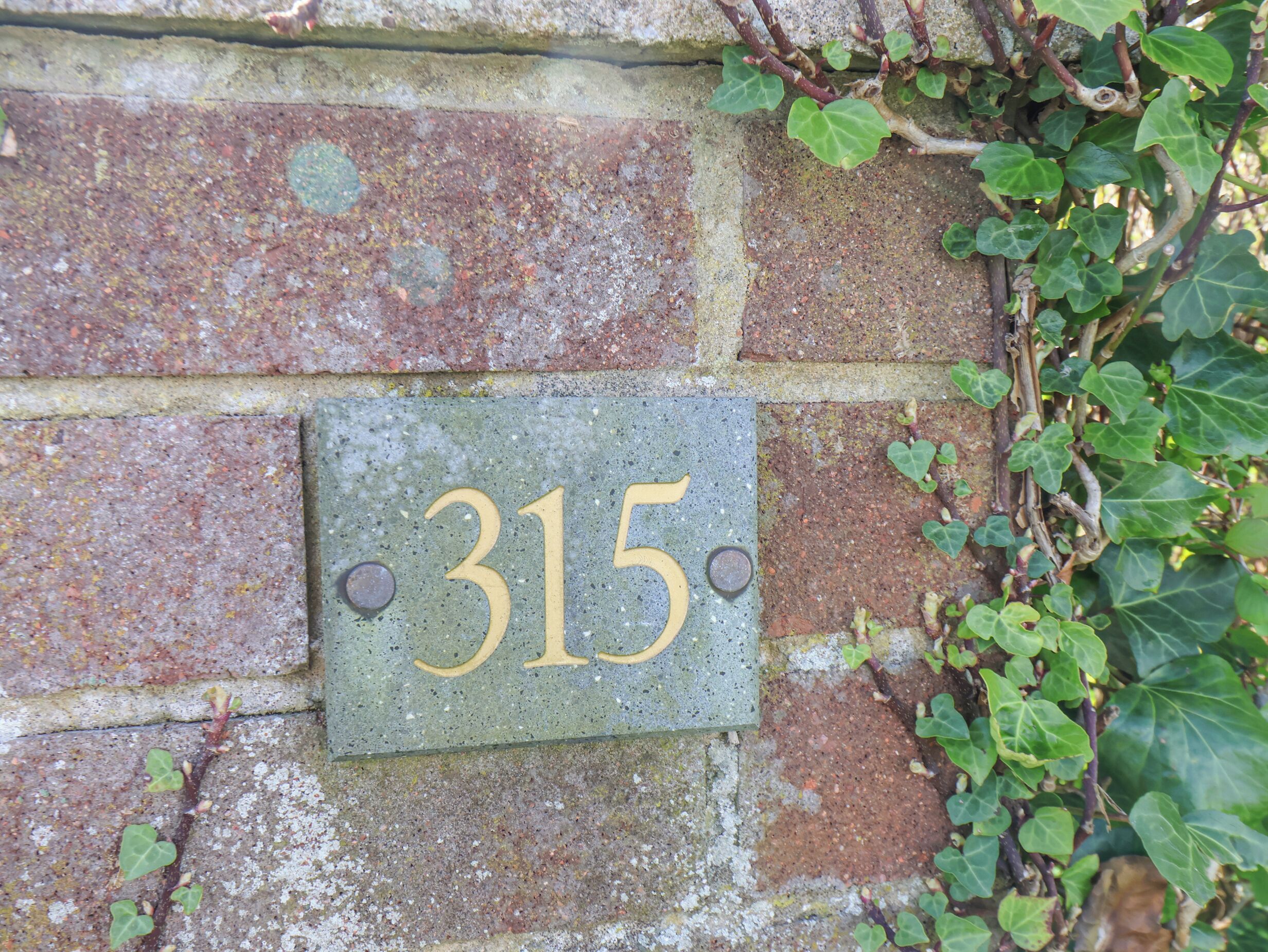 Une plaque portant le numéro de maison, 315, fixée à un mur de briques, avec du lierre qui y grimpe.
