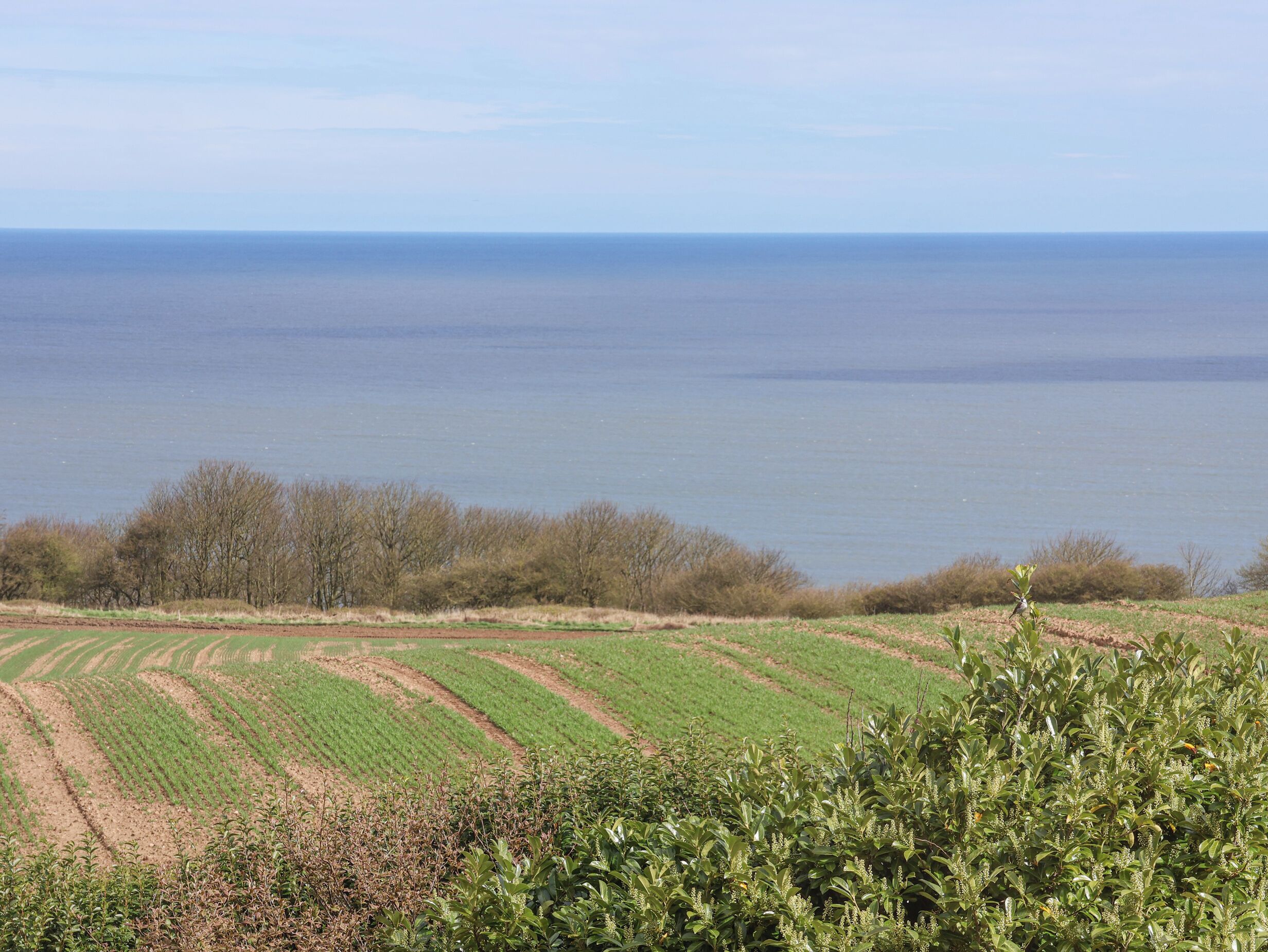 A coastal landscape with agricultural fields and a view of the sea.