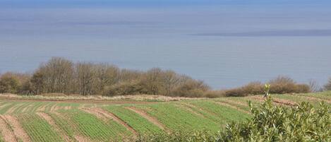 A coastal landscape with agricultural fields and a view of the sea.