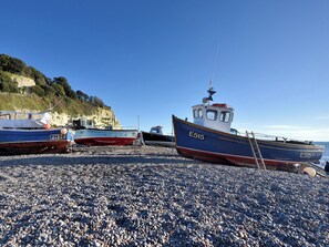 Beach - Belfry Cottage (Colyton)