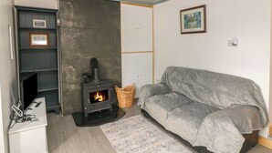 Un salon chaleureux avec une cheminée, un canapé gris, un tapis à motifs et un téléviseur posé sur un meuble.