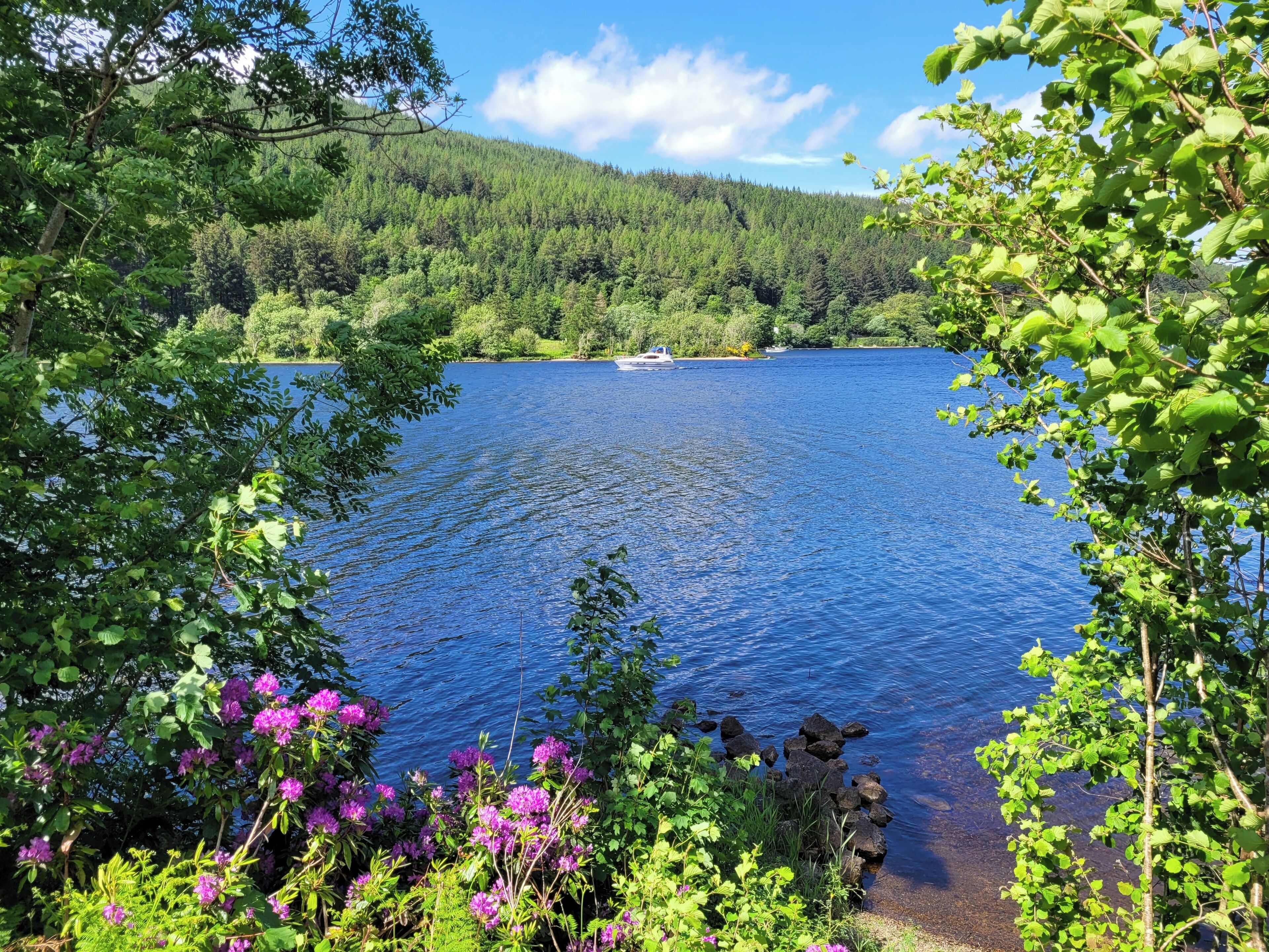 Un lac entouré d’une forêt dense et bordé d’une côte rocheuse.