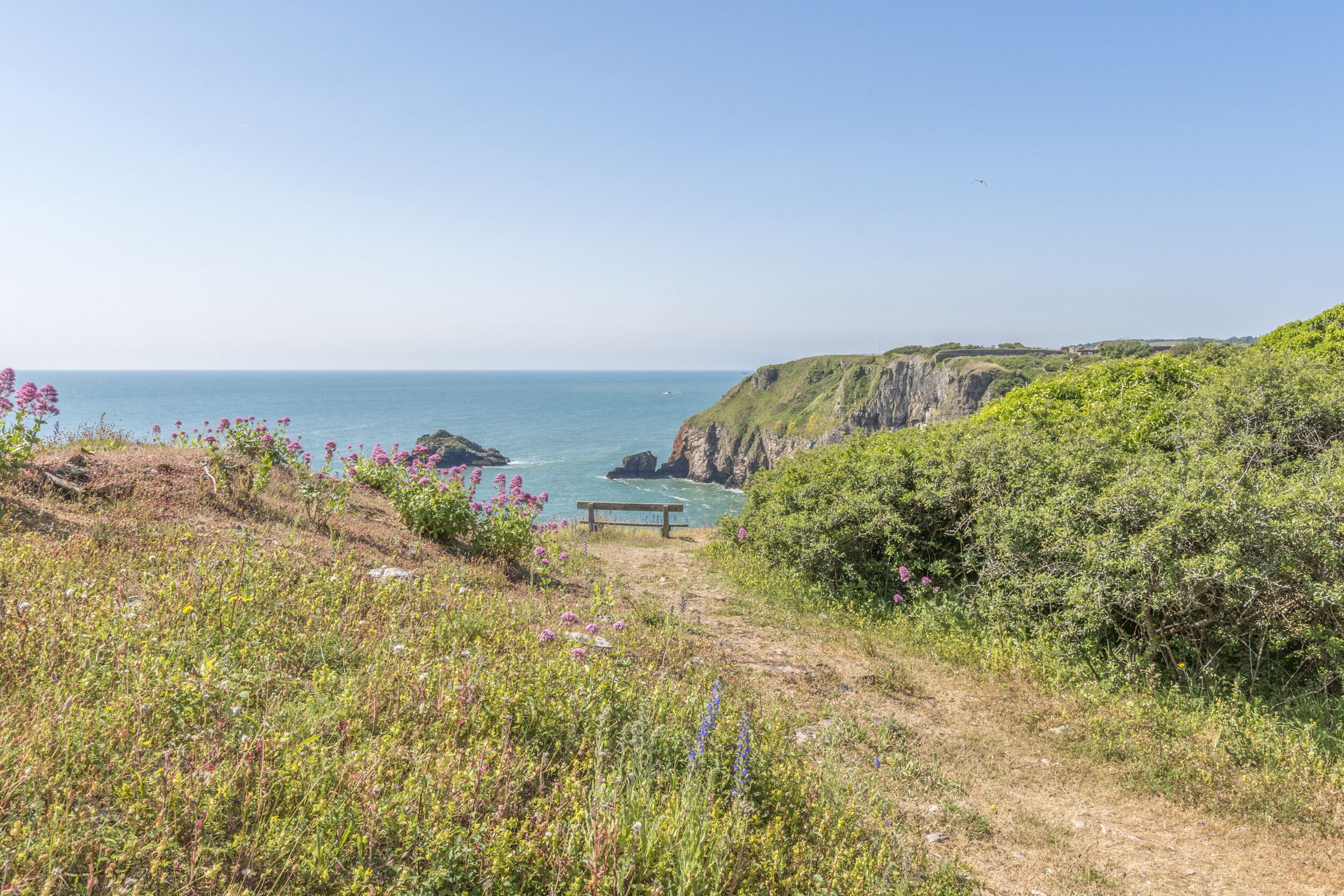 Un sentier côtier avec un banc, qui mène à une falaise surplombant la mer.