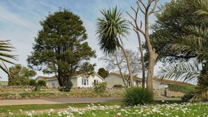 A residential area with houses, a stone wall, and a grassy field with white flowers. - Chalet 11 at Landscove Holiday Park (Brixham)