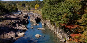 Vistas al campo desde el alojamiento