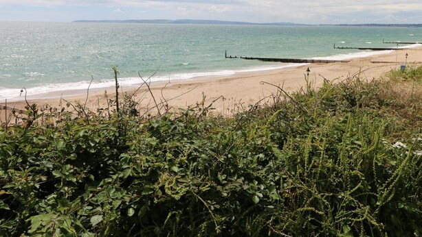 Ein Strand mit einer Holzsteg, der ins Meer ragt, umgeben von üppiger Vegetation.