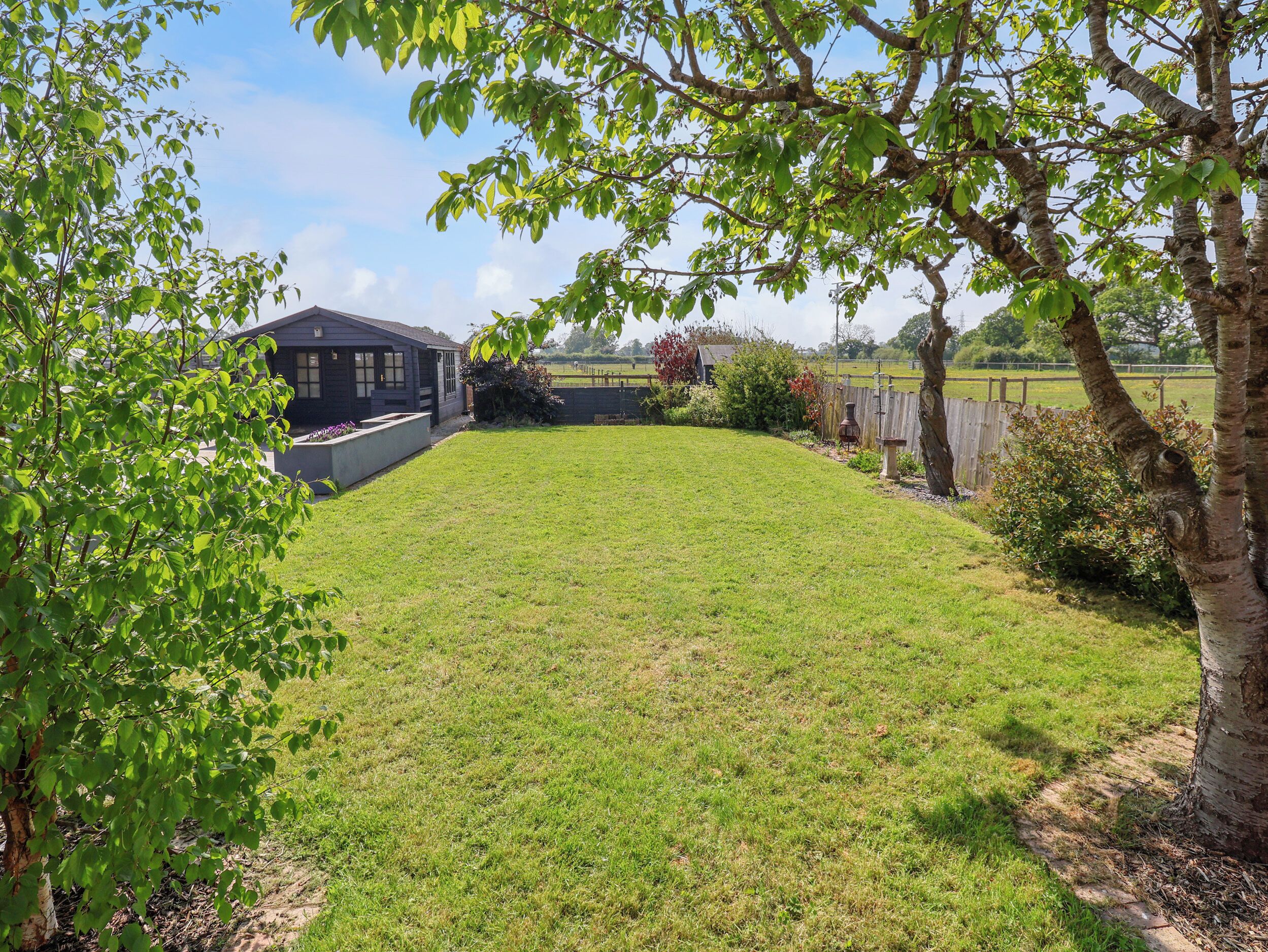 A grassy backyard with a house, a wooden fence, and a tree.