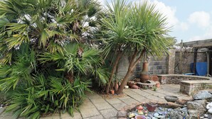 A courtyard with a palm tree, a stone bench, and various potted plants. - The Games Room (Chichester)