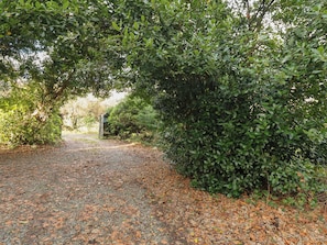 Property grounds - Plas Dorothea (Caernarfon)