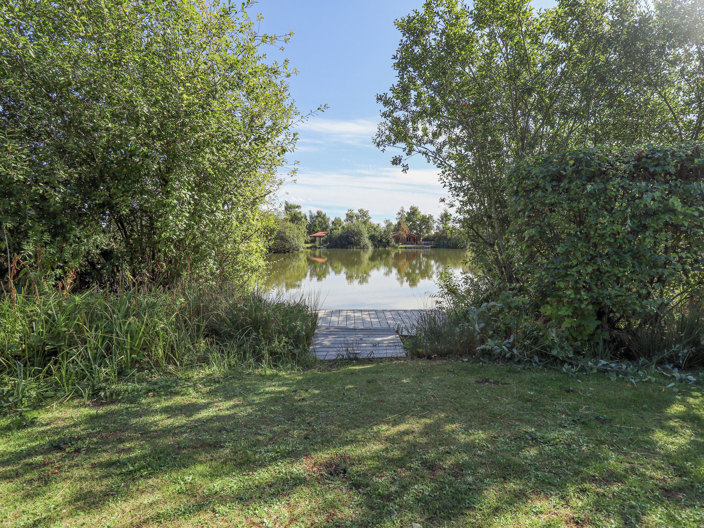 Una vista serena d'un llac amb un moll de fusta que s'endinsa a l'aigua, envoltat de vegetació exuberant.
