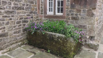 Detalle exterior