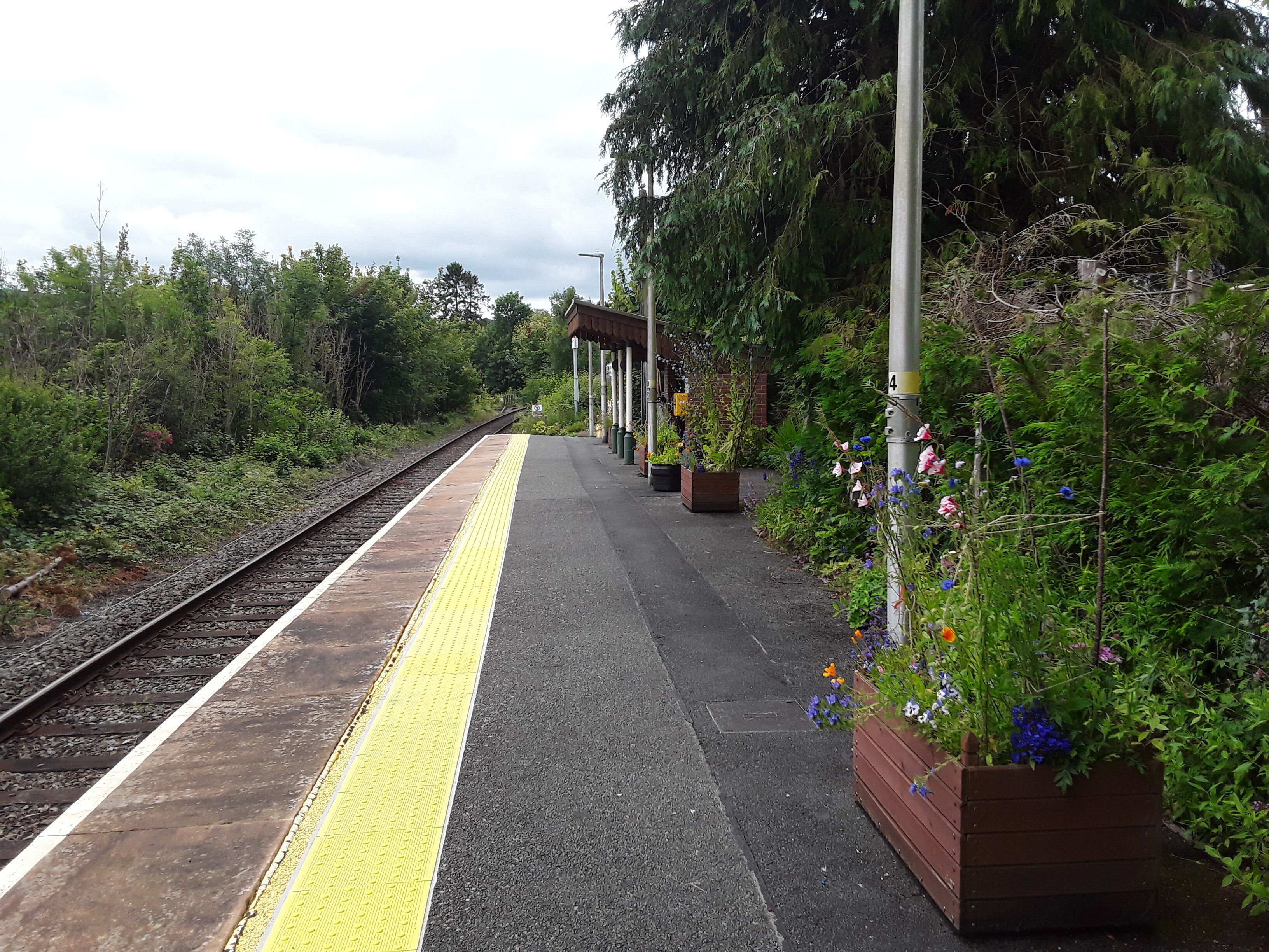 A train station platform with a yellow tactile paving path, wooden planters with flowers, and a covered waiting area.