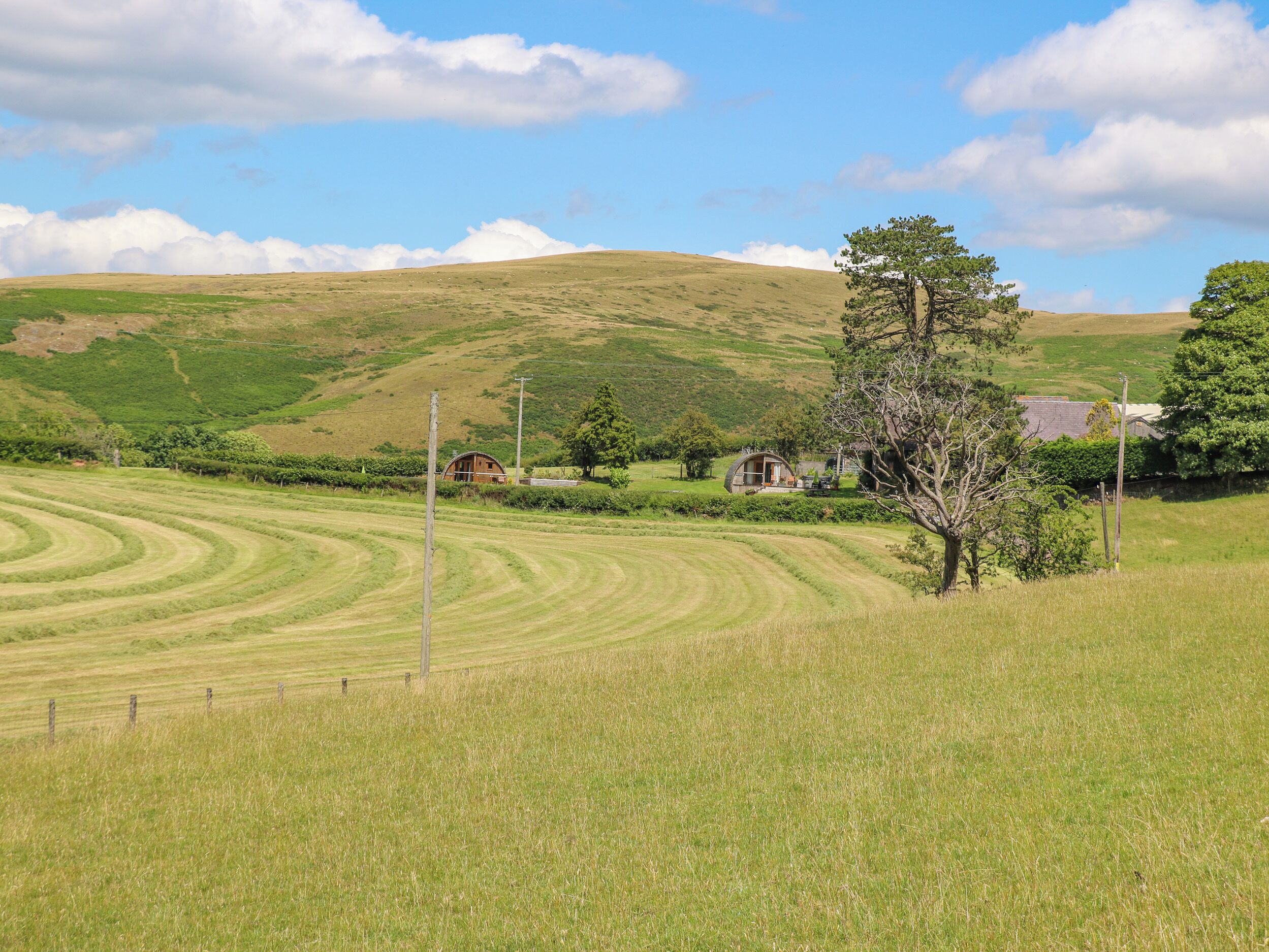 A rural landscape with rolling green fields, a few scattered houses, and a prominent tree.