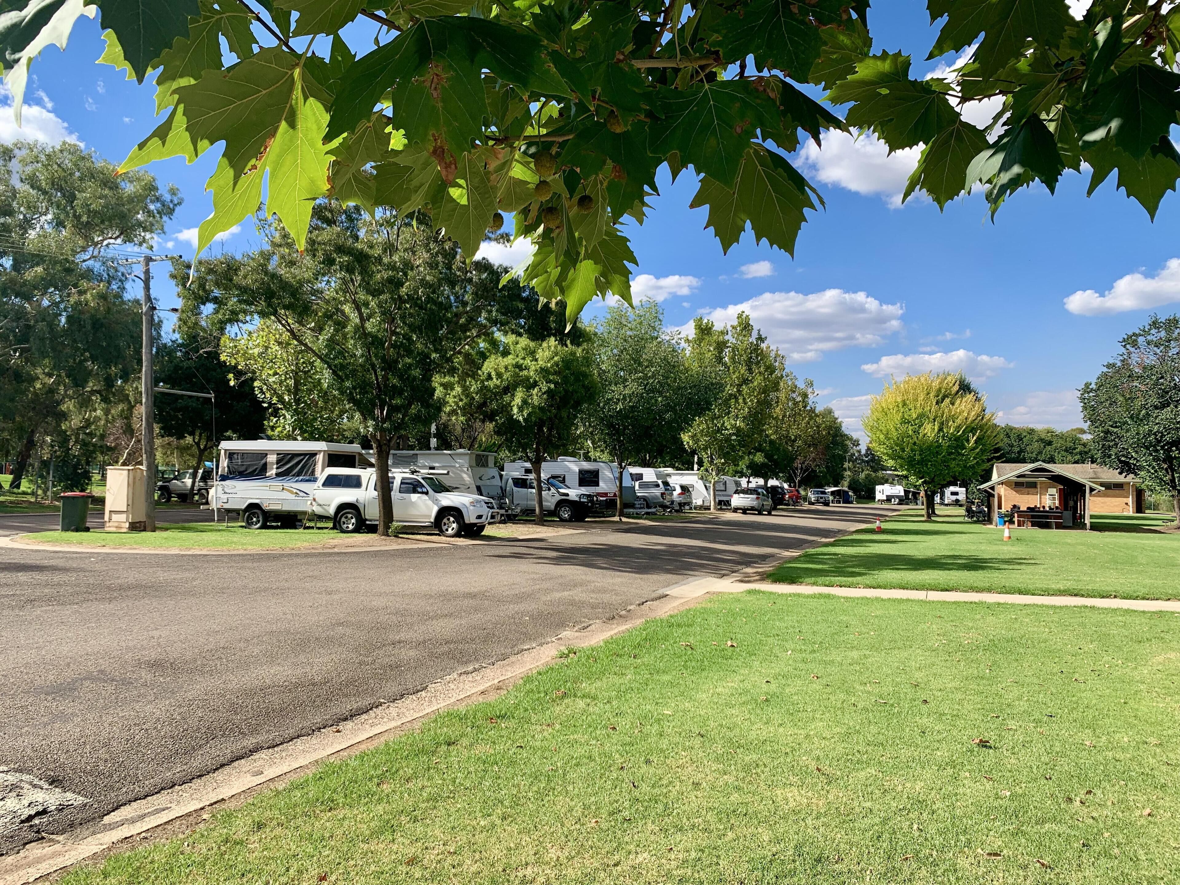 Área de parrilladas y picnic