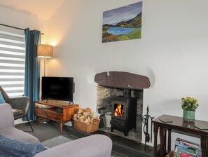 Living area - Fron Heulog Cottage (Caernarfon)