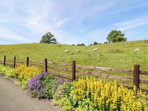 Cottage | Property grounds
