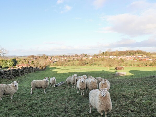 A rural landscape with a flock of sheep in a field, a stone wall, and a distant village.