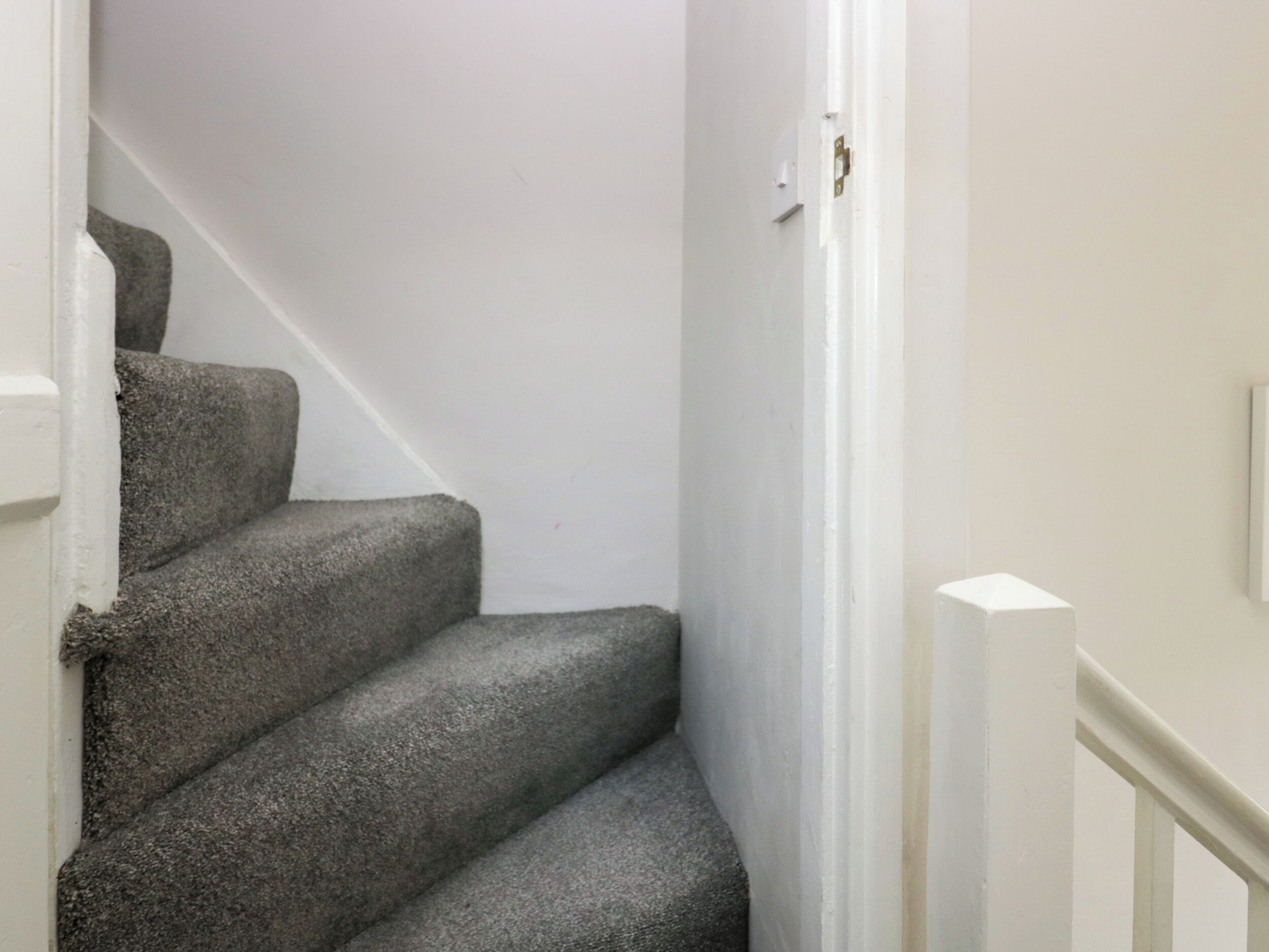 Una escalera con peldaños alfombrados que conduce a una puerta.