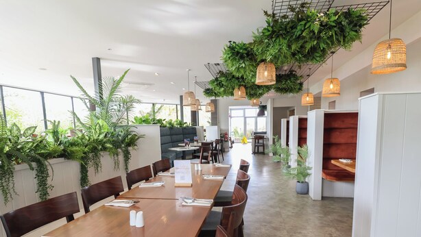 Un restaurante moderno con largas mesas de madera, asientos cómodos y plantas colgantes.