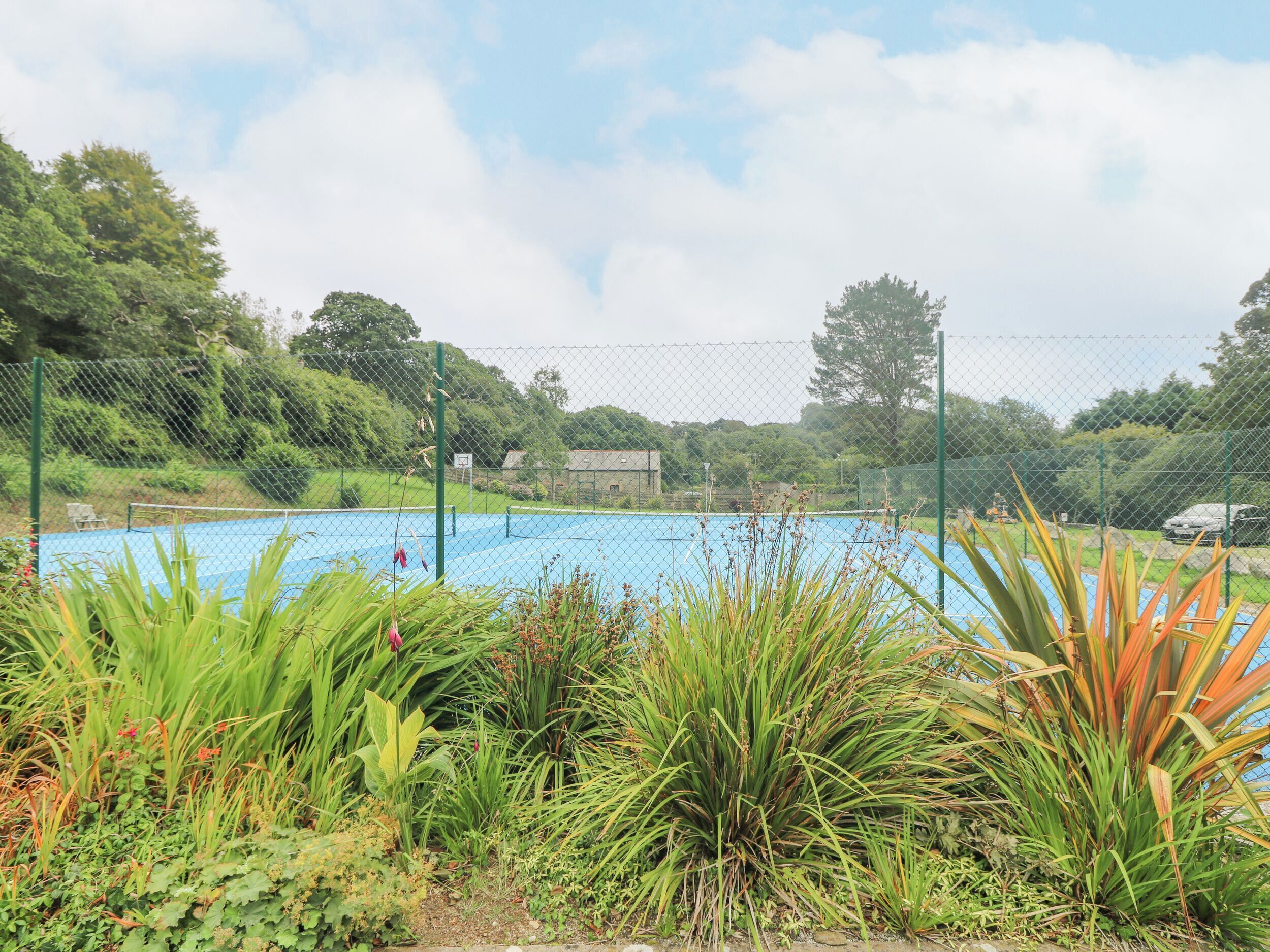 A swimming pool surrounded by lush greenery and a fence.