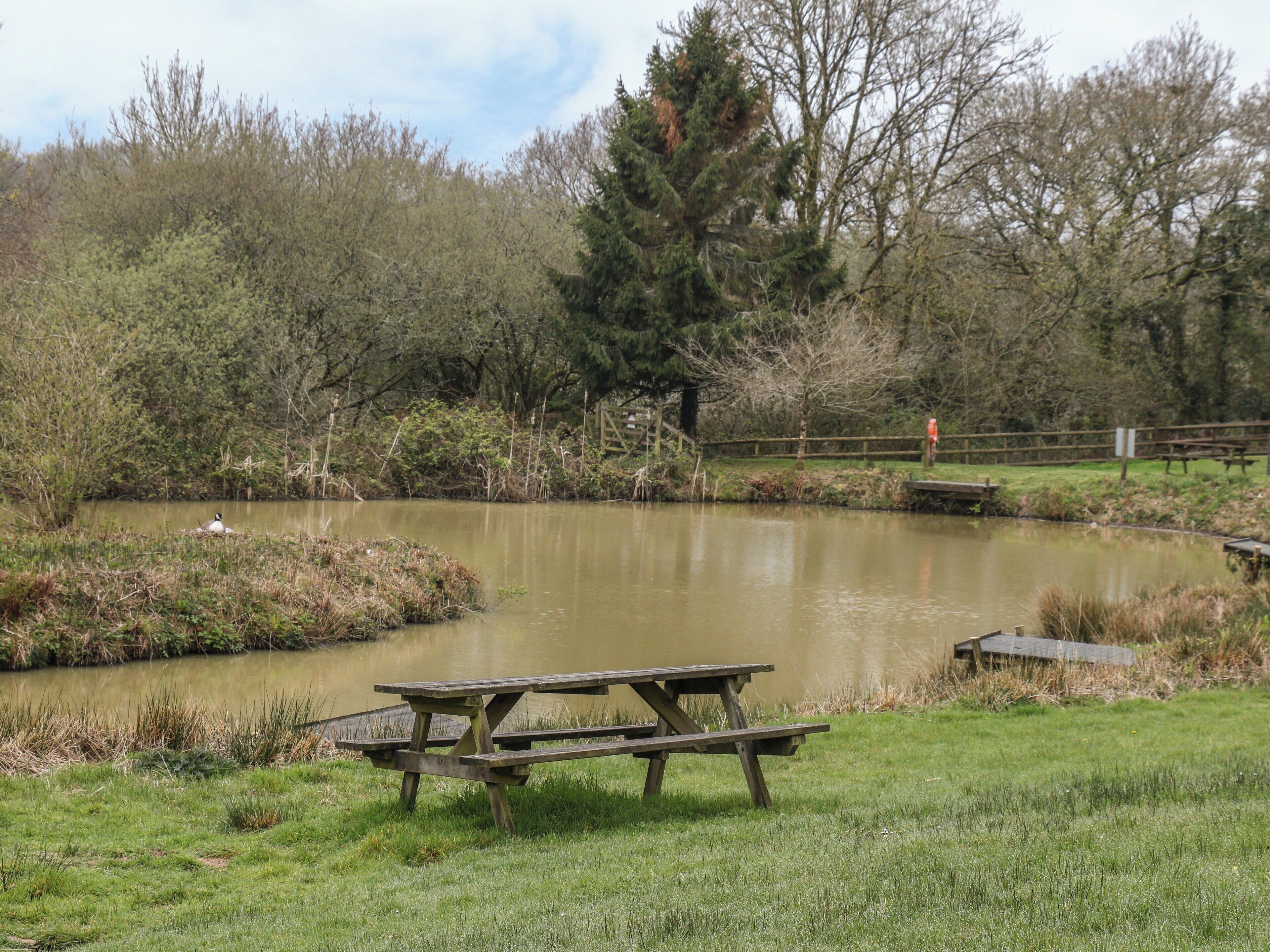 Een picknicktafel bij een vijver, met een houten omheining en bomen op de achtergrond.