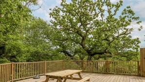 A wooden deck with a picnic table surrounded by a wooden fence, set against a backdrop of lush green trees. - Crystals (Beaworthy)