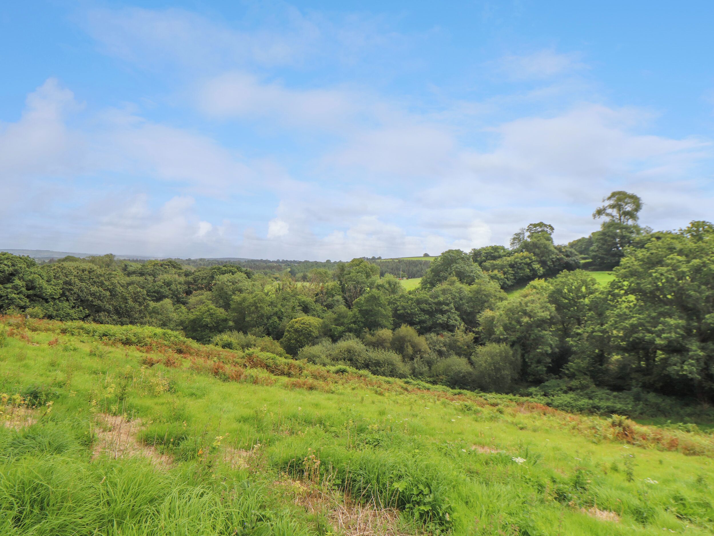 A lush green landscape with rolling hills and dense tree coverage.