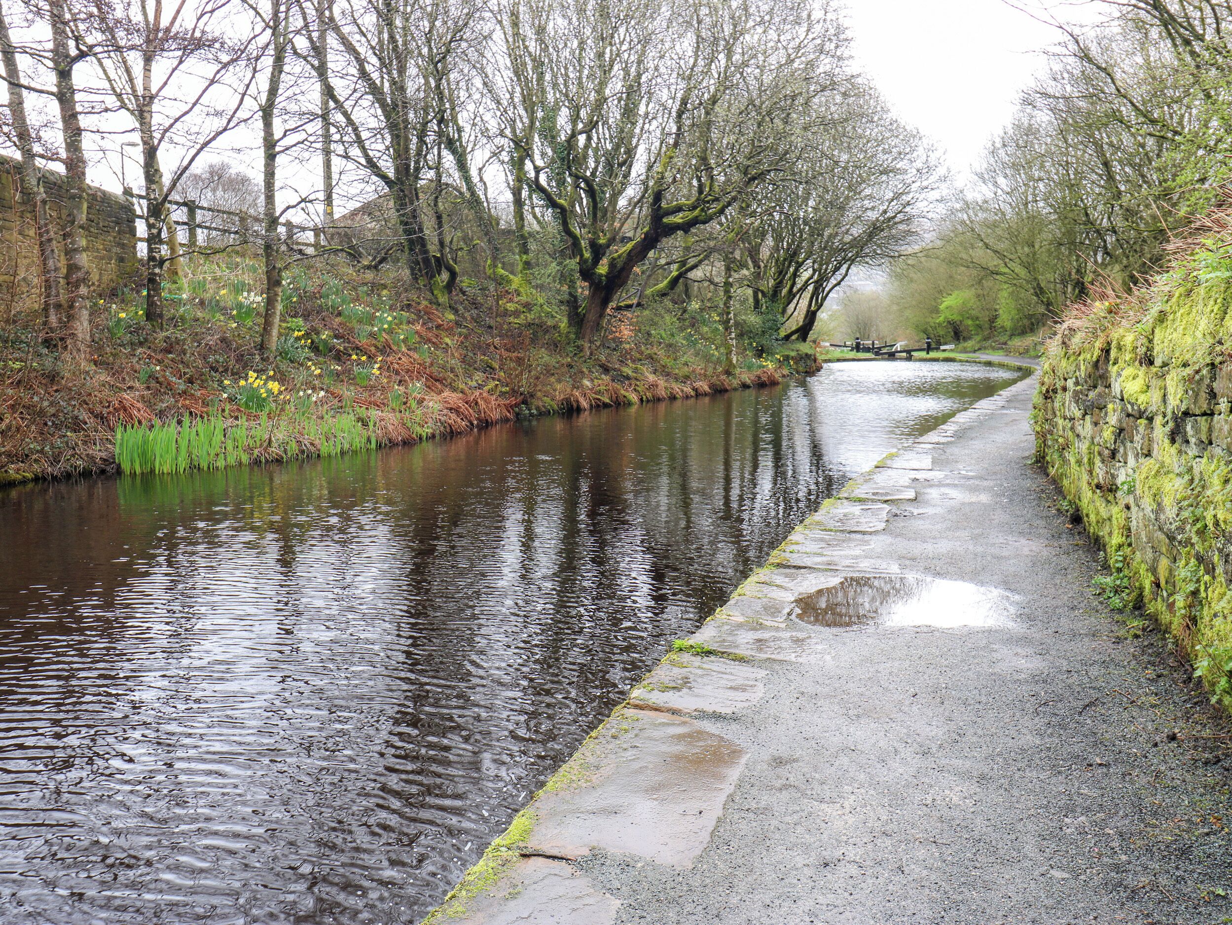 A narrow waterway with a stone pathway alongside.