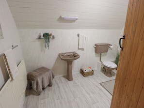 Shower - Ben Brack (Oughterard)