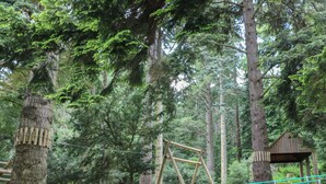 Une zone boisée avec un pont de corde, des structures en bois et un banc.
