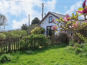 Property grounds - Dolphin Bach (Holywell)