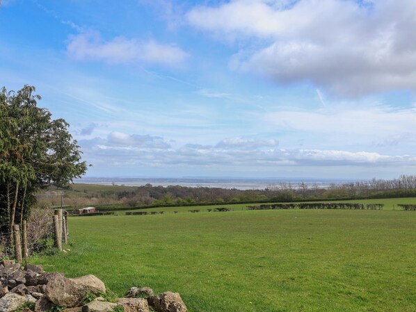 A grassy field with a fence, trees, and a distant view of a city skyline.