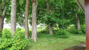 Ein Picknicktisch in einer grünen Umgebung mit Bäumen und Büschen.