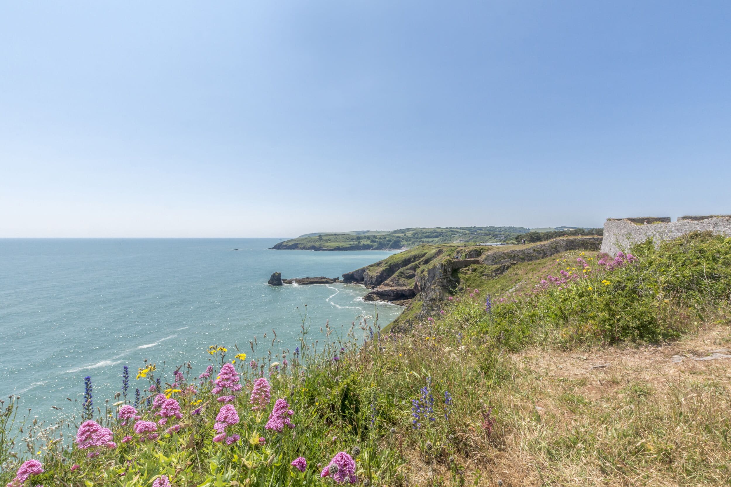 A coastal landscape with a stone wall, grassy terrain, and wildflowers.