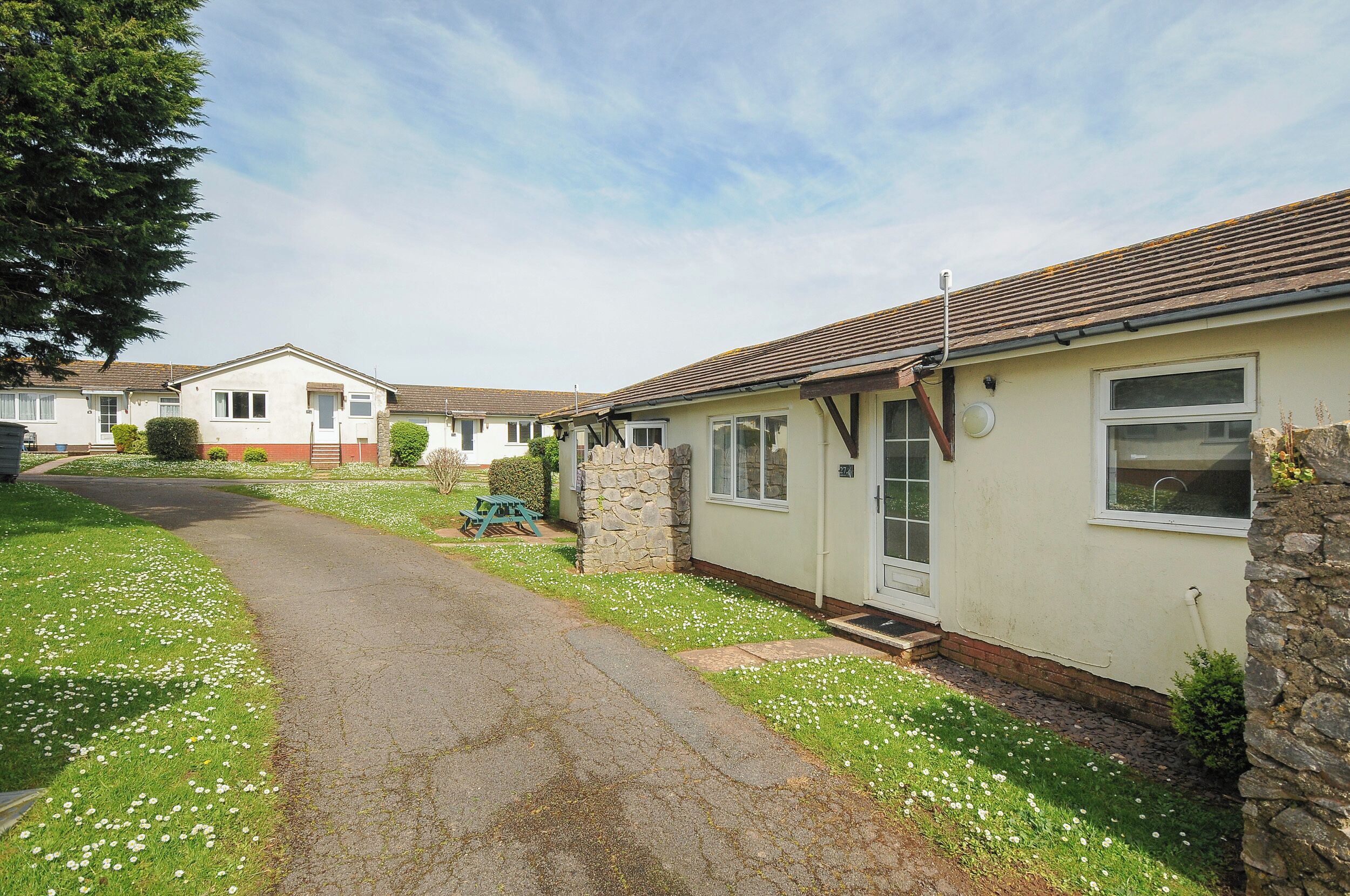 A row of single-story mobile homes with a paved driveway and a grassy area with white flowers.