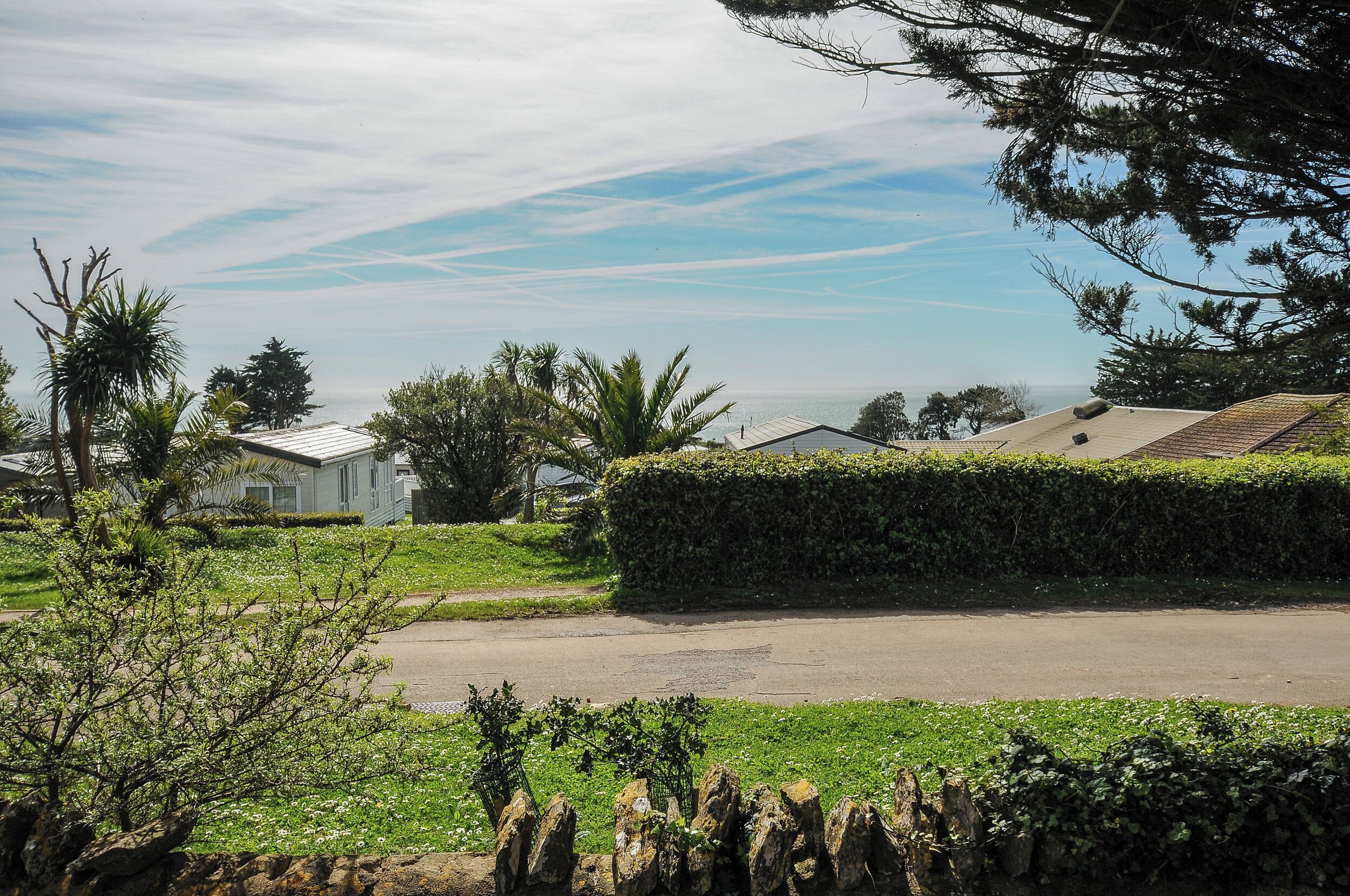 A residential area with a paved road, a hedge, and a house with a sloped roof.