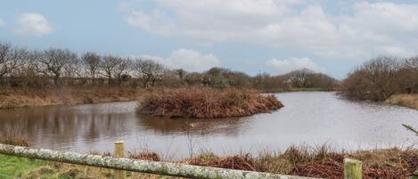 A river with a wooden fence in the foreground.