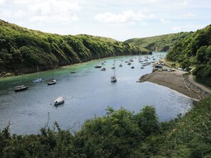 Marina - Grassholm View (Haverfordwest)