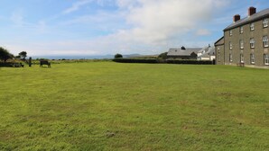 Ein grasbewachsenes Feld mit einem Gebäude und einer Bank.